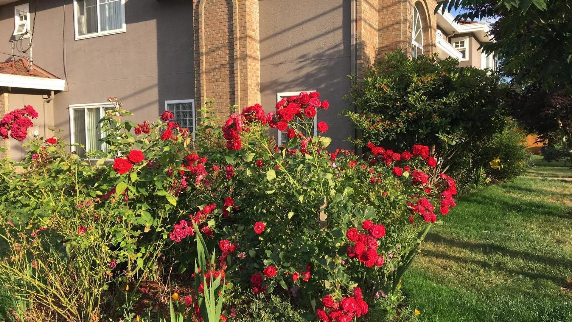 Bed and Breakfast Rose Garden Richmond